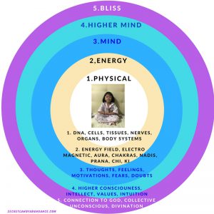 The 5 Dimensions Of The Body